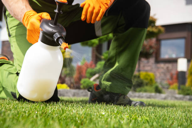 Best Insect Control  in South Gate Ridge, FL