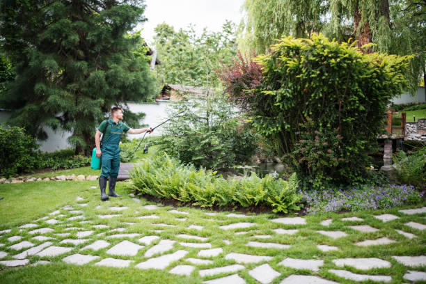 Best Local Pest Control Services  in South Gate Ridge, FL