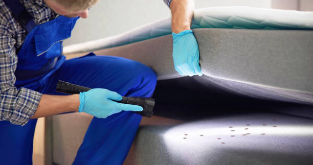Reliable South Gate Ridge, FL Pest Control Solutions