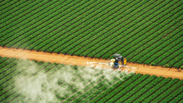 Best Pest Removal Services  in South Gate Ridge, FL