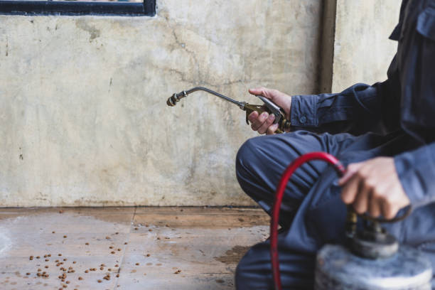 Best Pest Control Near Me  in South Gate Ridge, FL
